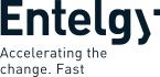 logoEntelgy