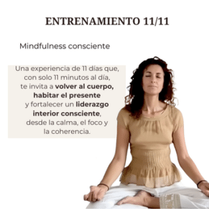 Entrenamiento 11 / 11